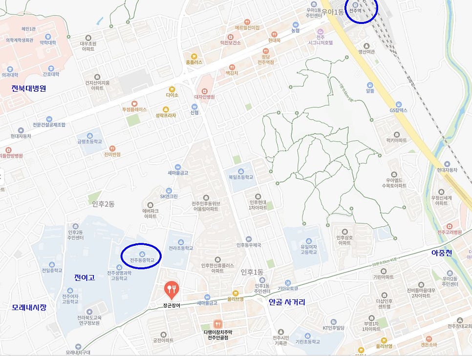 장군장어 사진 1