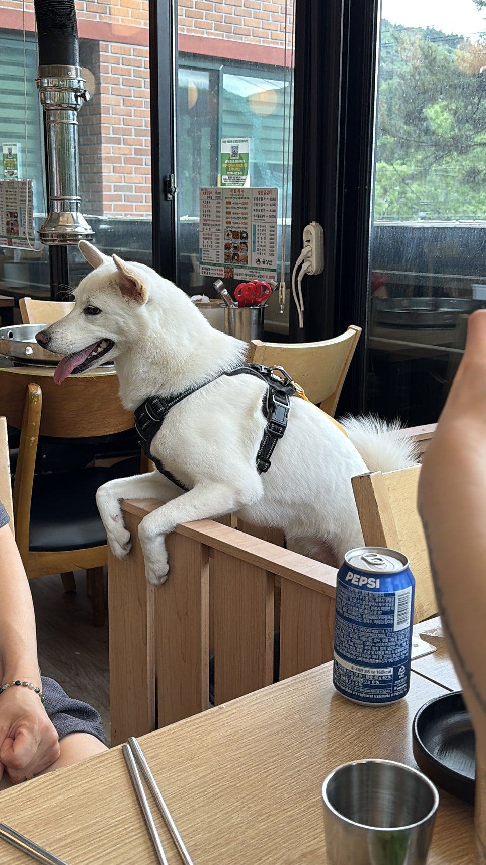 인사리 사진 5