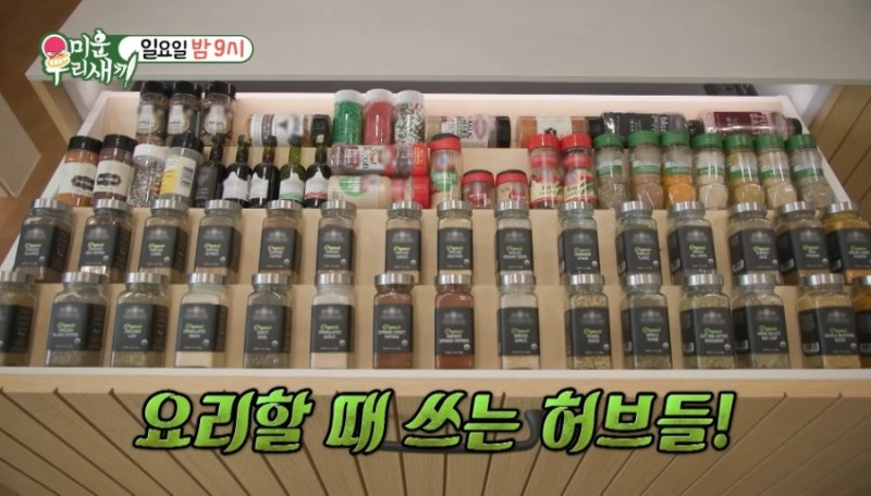 브라이언 집 위치 평택 300평 대저택 가격 정보