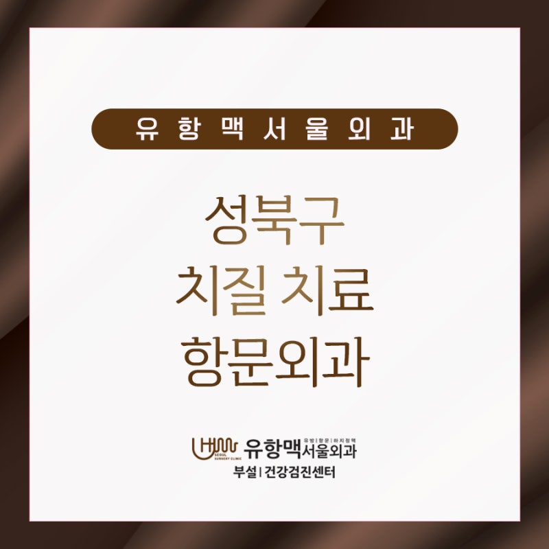 성신여대입구역 치질 비수술, 성북구 치질 치료, 돈암동 항문외과
