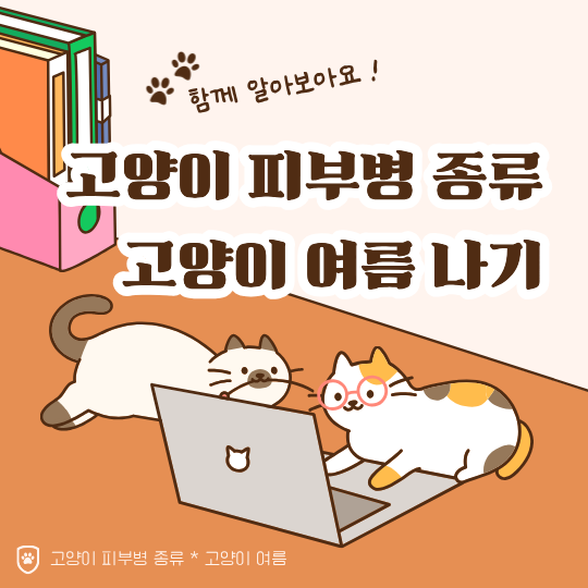 여름이다! 고양이 피부병 종류 예방하기 ⎮ 고양이 여름 피부