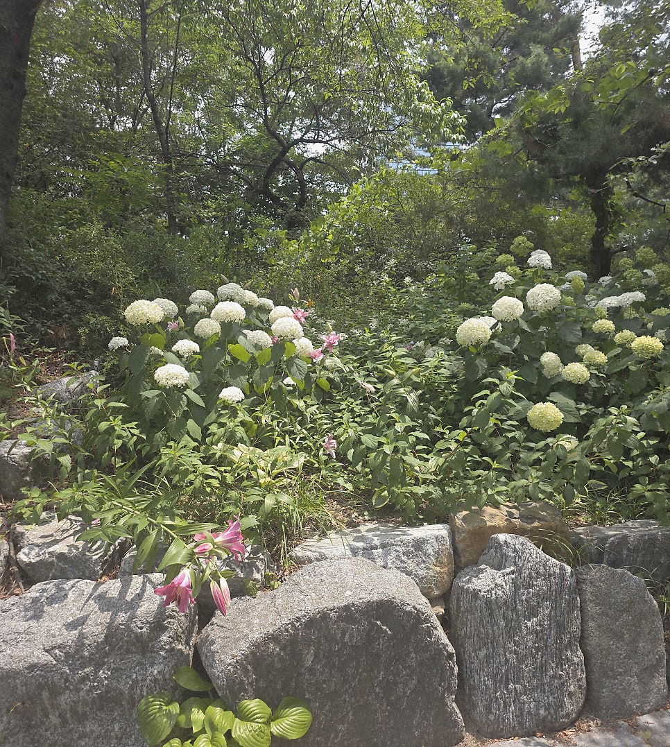 원조1호 장충동할머니집 사진 5