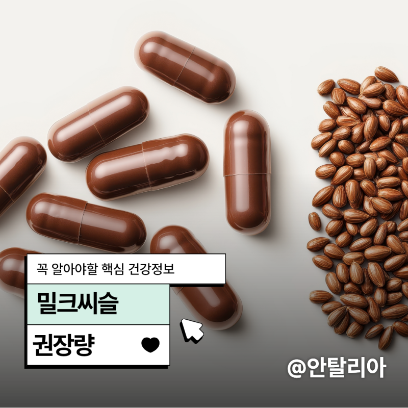 밀크씨슬 섭취방법 총정리, 한국인 권장량 충족!