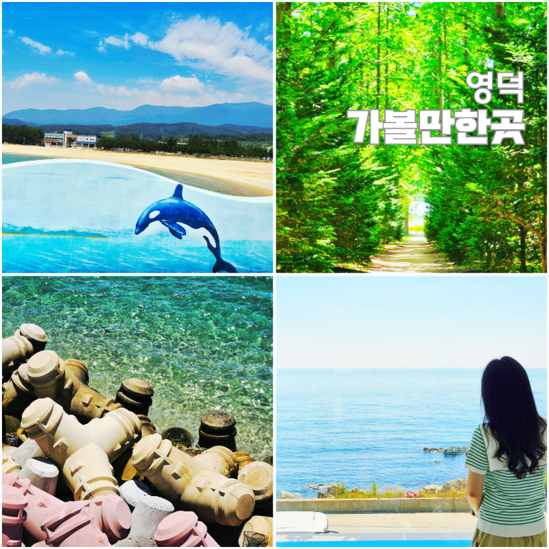 경북 영덕 아이와 가볼만한곳 고래불해수욕장 대게 풀빌라 여행코스