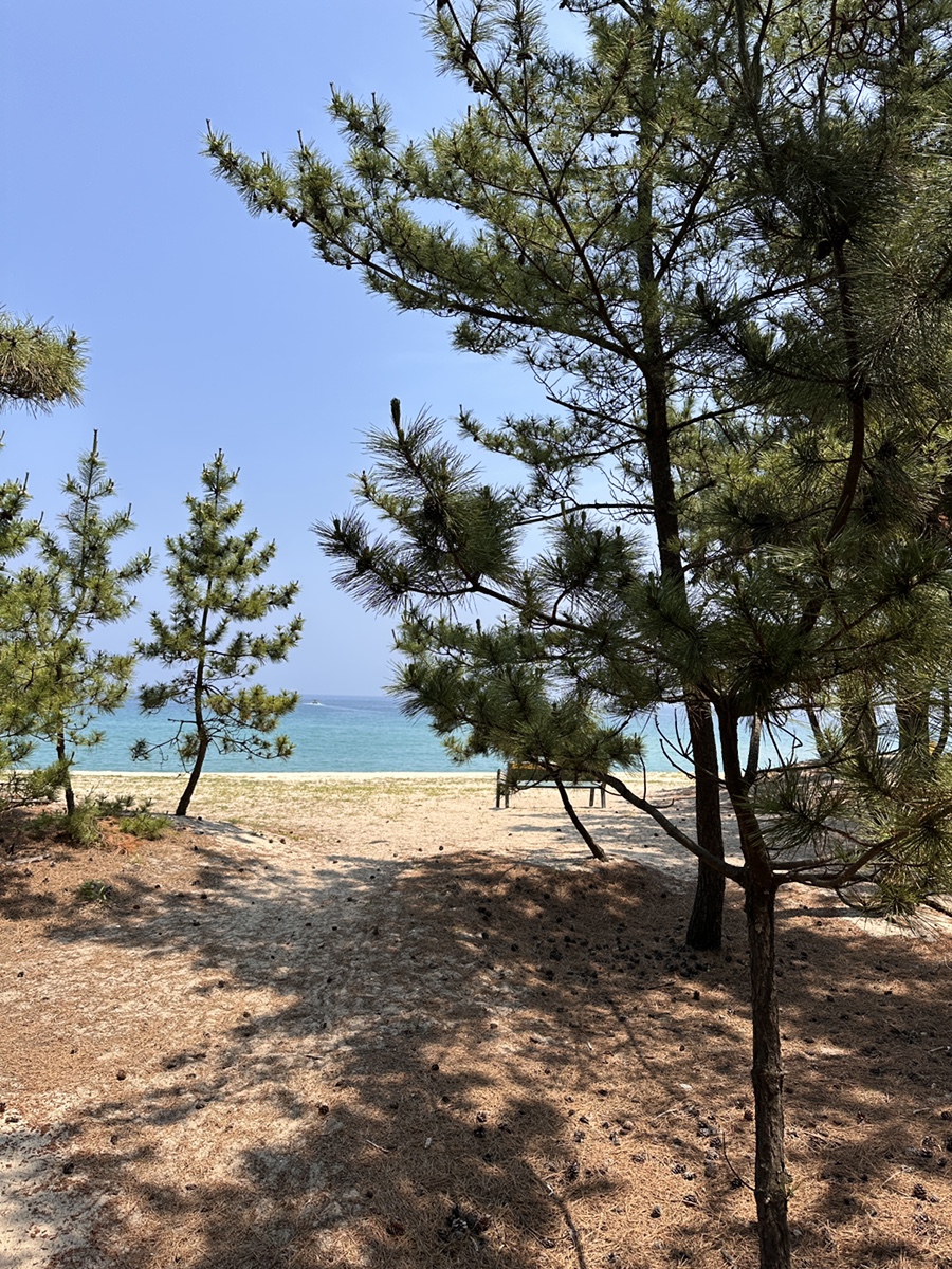 라면먹고갈래 사진 6