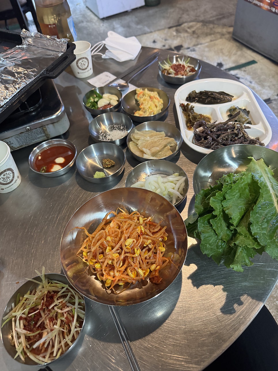 상록수 사진 3
