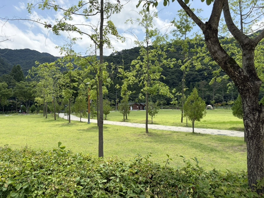 상소동산림욕장 사진 3