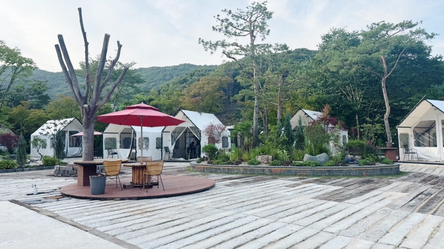 고기육백 사진 3