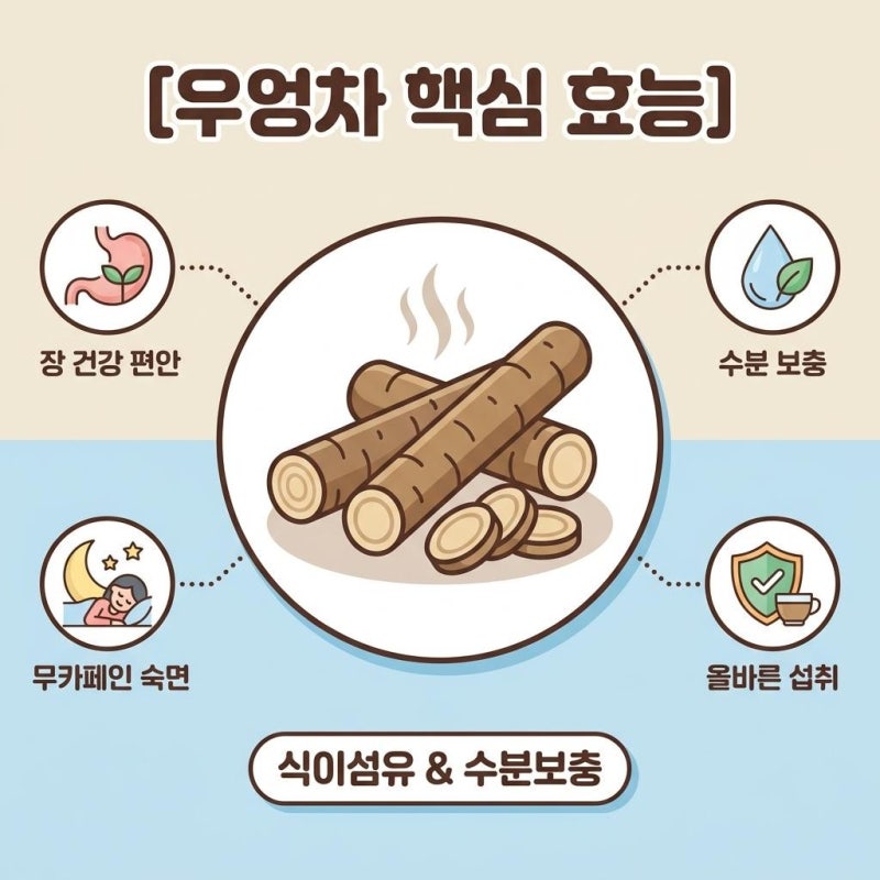 우엉차 효능 및 무카페인 특징, 섭취 전 꼭 알아둘 주의사항