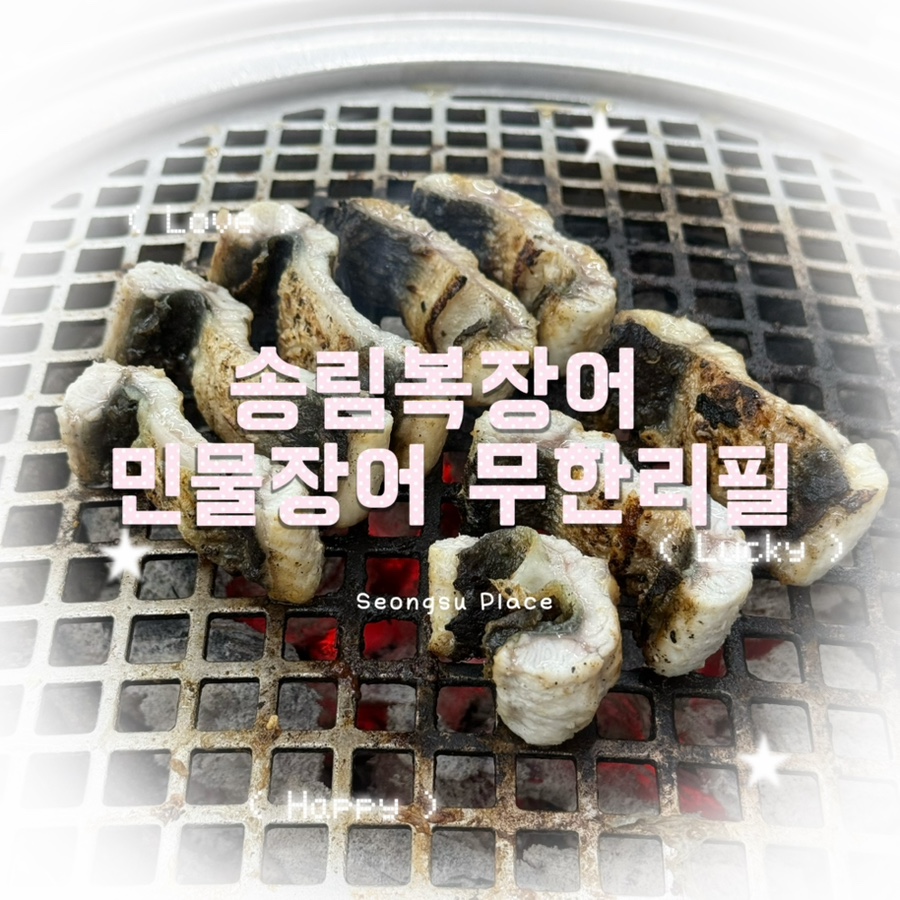 송림복장어 민물장어무한리필 새솔직영점 사진 1