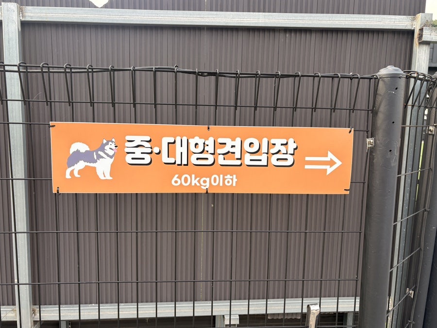 아이러브마이독 사진 3