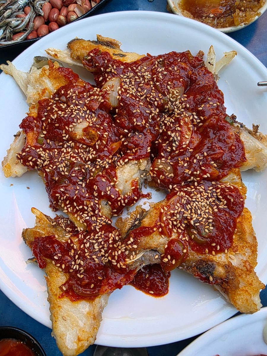 토크쇼 사진 1