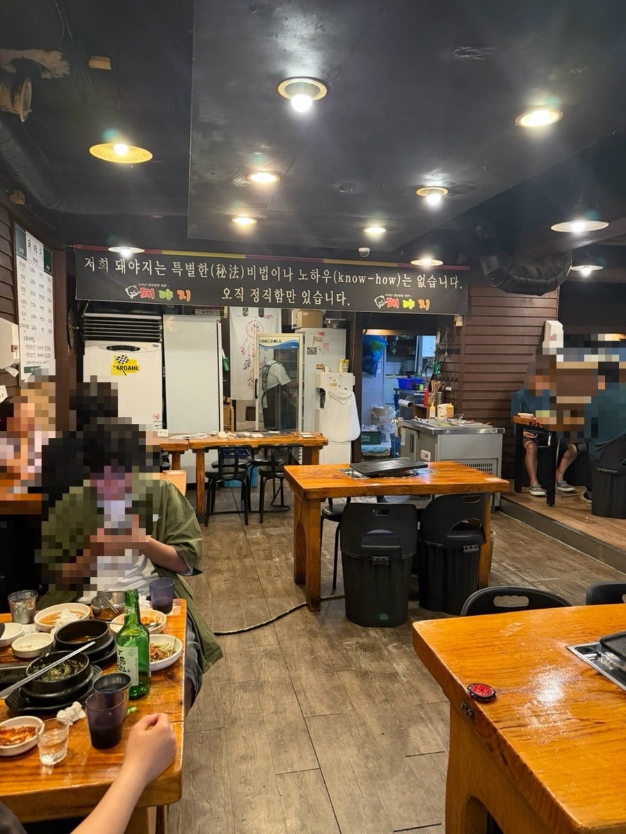 돼야지 사진 2