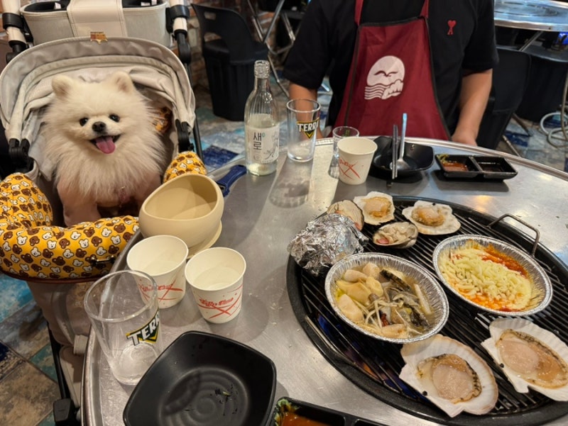 영종도 조개구이 추천, 인천 애견동반식당 회랑 조개랑 조개구이 새우구이 칼국수 맛집