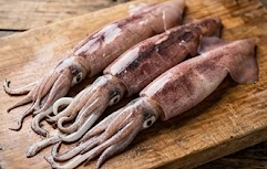 통째로 먹는 별미 총알오징어, 불법 논란과 진짜 제철 시기 알아보기