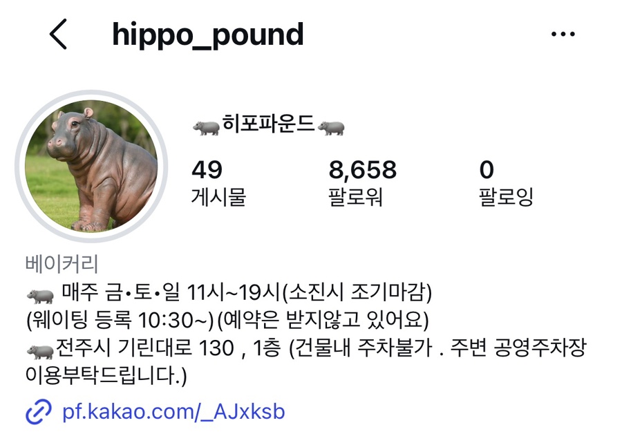 히포파운드 사진 3