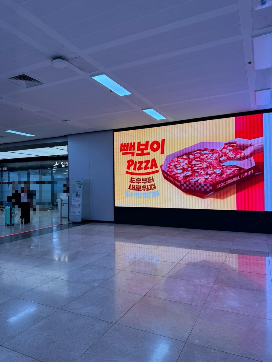 제주꽃돼지 사진 3