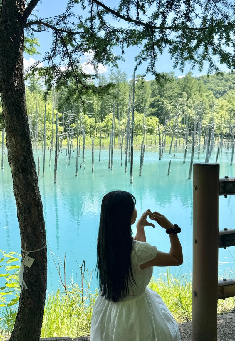 일본 유심 추천 삿포로 오사카 이심 esim 소프트뱅크 무제한 후기