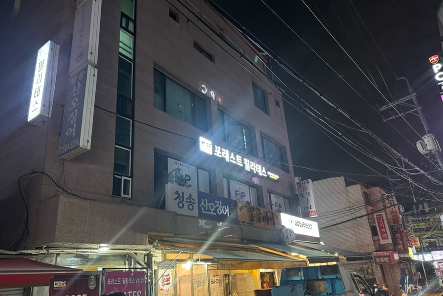 청송산오징어 사진 2