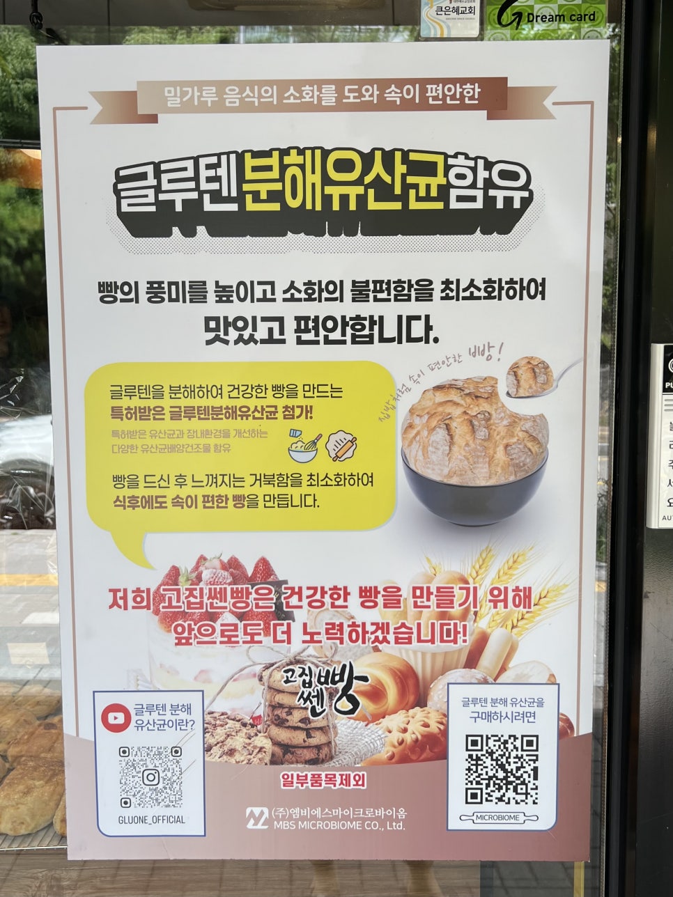 고집쎈빵 사진 6