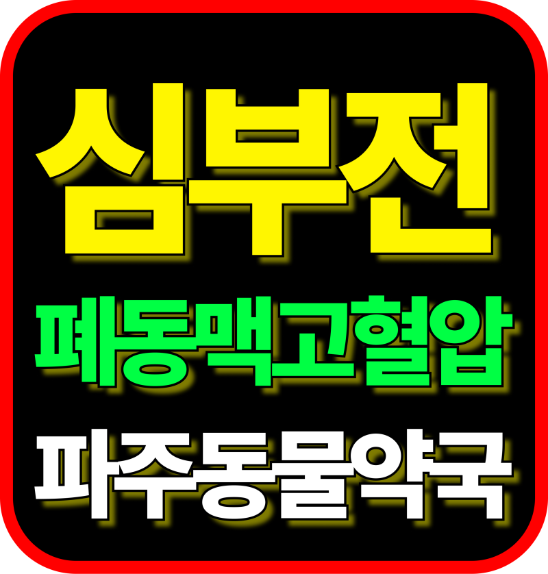 실리정 강아지 심장약 폐동맥 고혈압 심부전 실데나필 성분 효능 투여방법 파주 동물약국