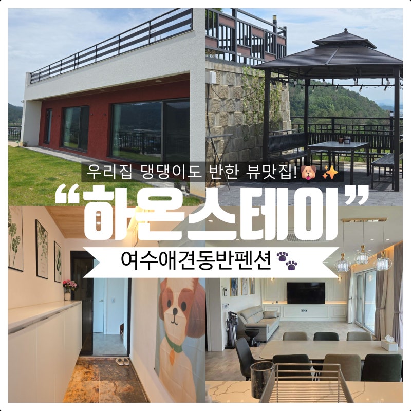 [Yeosu Pet-Friendly Pension] Yeosu Private Pension, "Haon Stay" - A View Restaurant That Even Our Dog Fell in Love With!✨