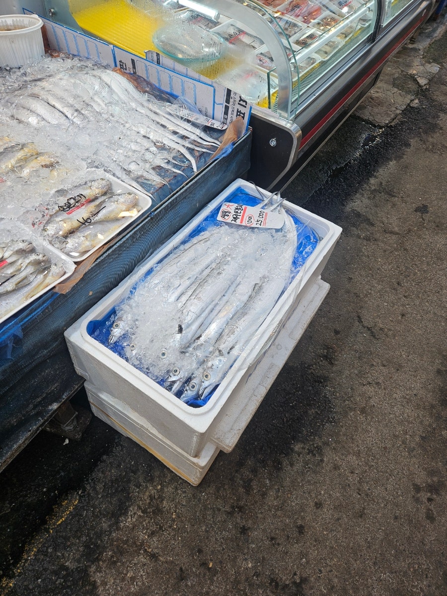 제일수산 사진 5