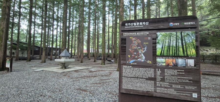 장태산 자연휴양림 야영장 사진 2