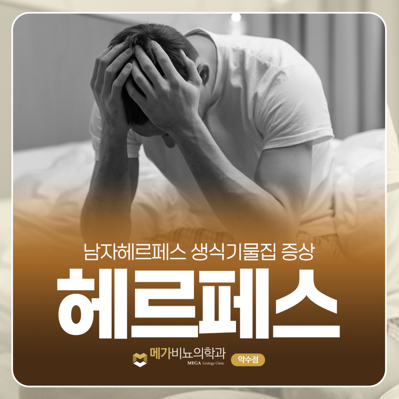남자헤르페스 물집 증상 없어져도 이러면 다시 생깁니다