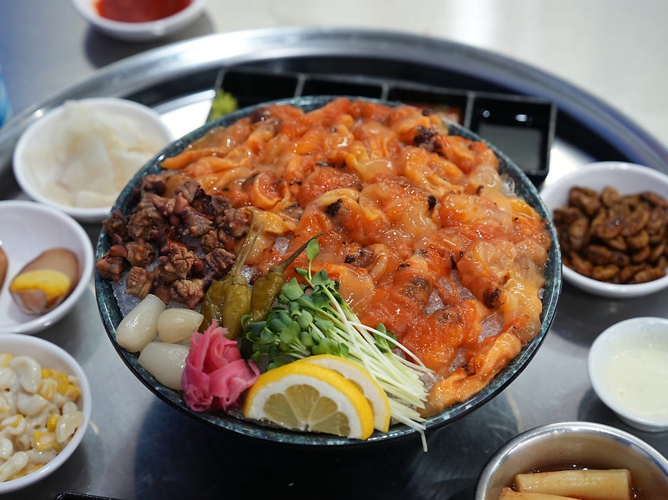 해삼 사진 5