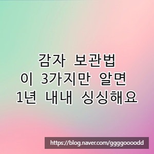 감자 보관법, 이 3가지만 알면 1년 내내 싱싱해요