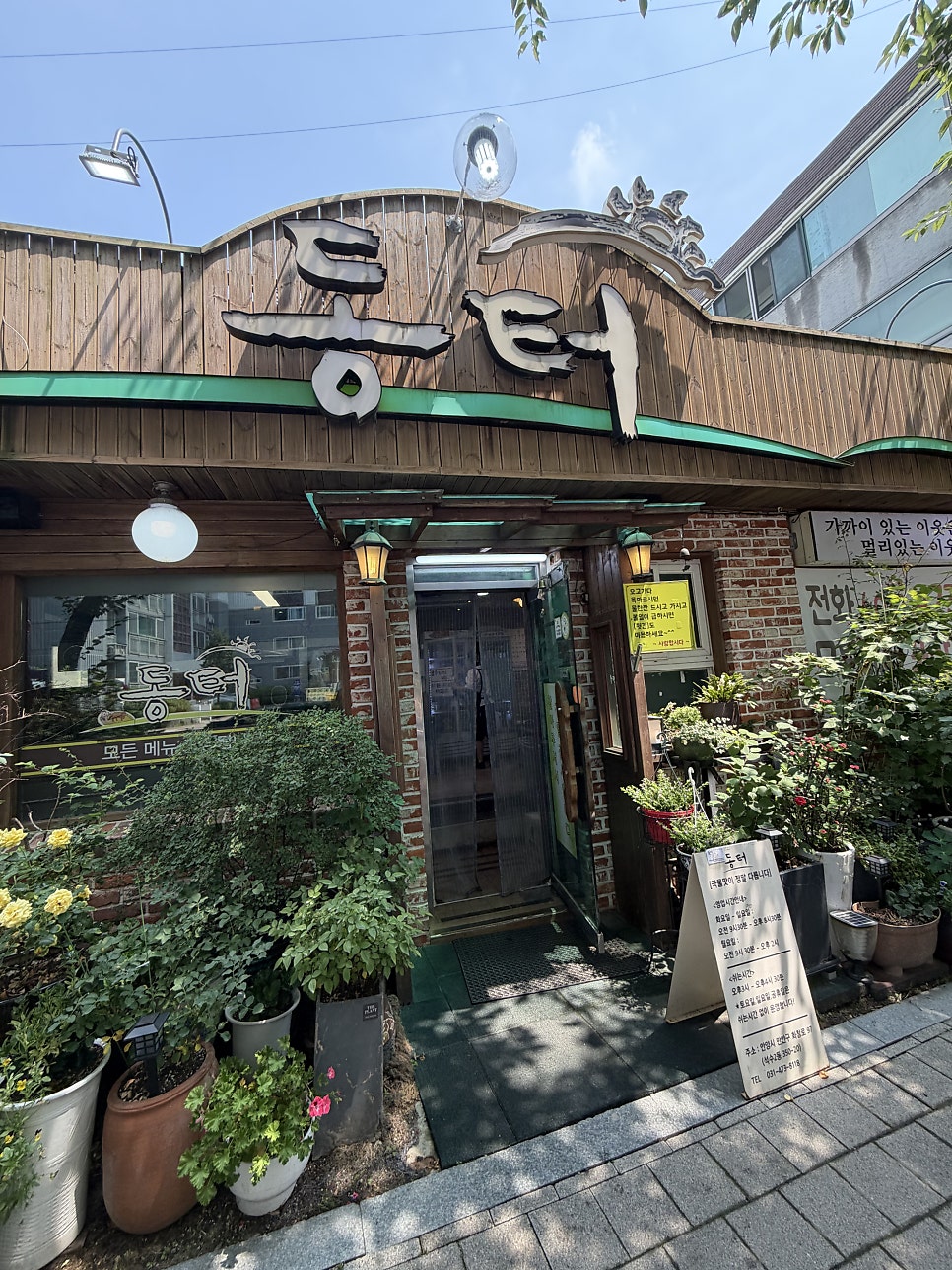 동터 사진 4