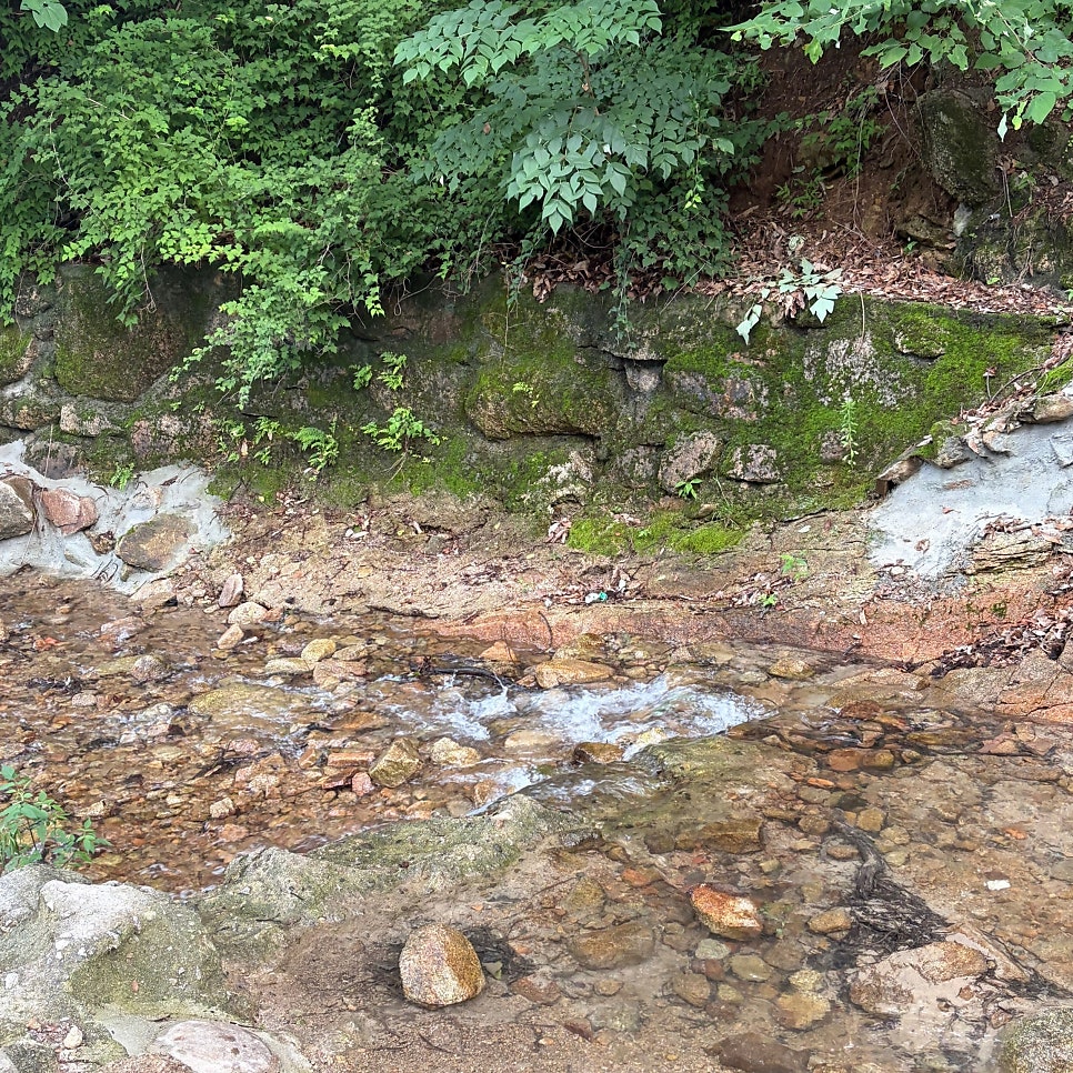 한일산장 사진 6