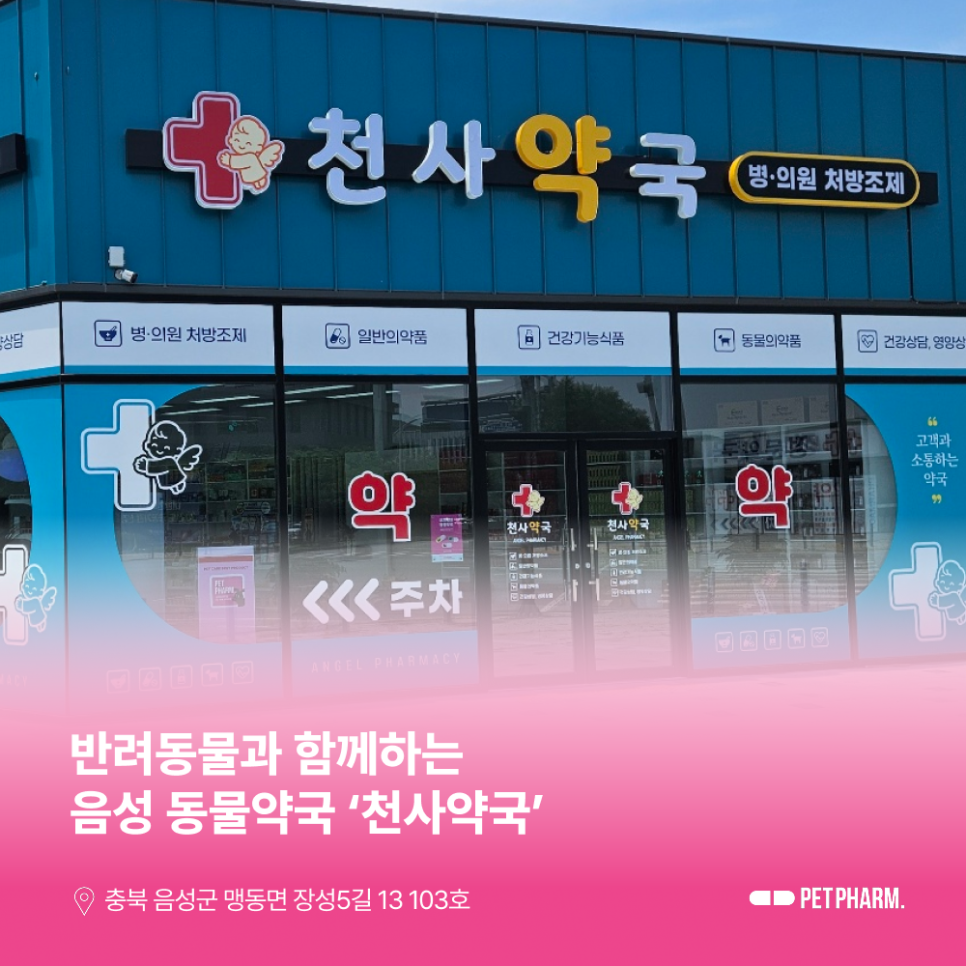 천사약국 사진 1
