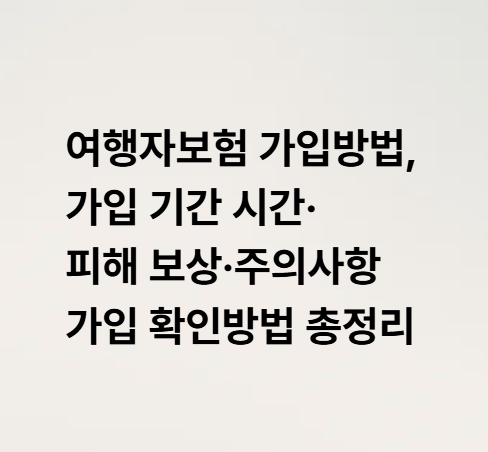 여행자보험 가입방법, 가입 기간 시간·피해 보상·주의사항·가입 확인방법 총정리