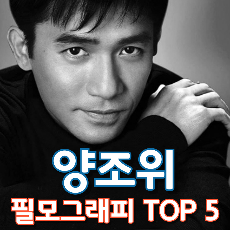 양조위 필모그래피 TOP 5