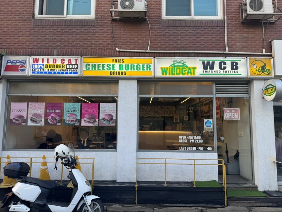 와일드캣 사진 1