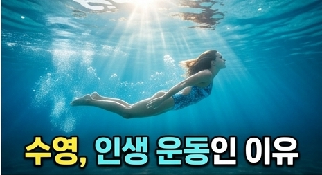 수원 영통구 수영 개인레슨ㅣ5060세대를 위한 연중무휴 성인 수영장