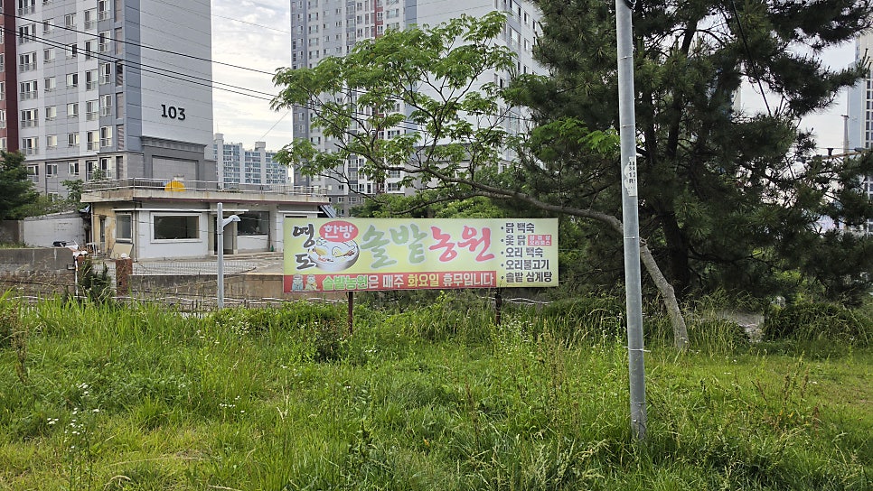 영도솔밭농원 사진 1