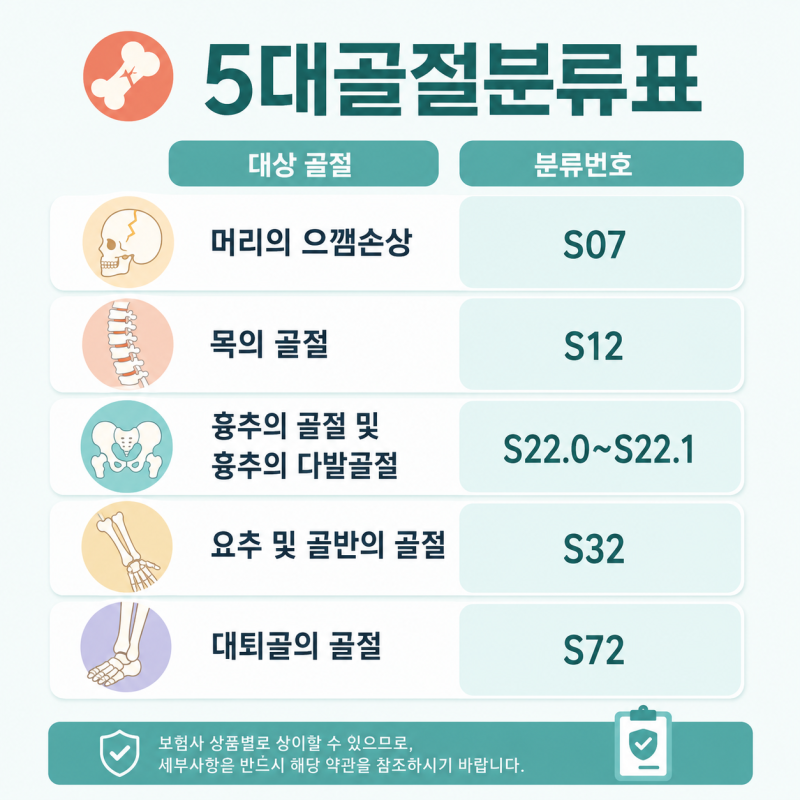 5대 골절 부위란? 진단코드와 진단비·수술비 보장기준 쉽게 정리