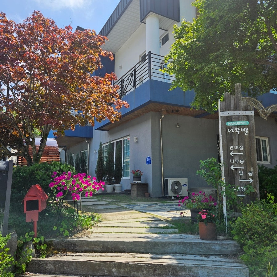 꿈꾸는나무별 사진 6