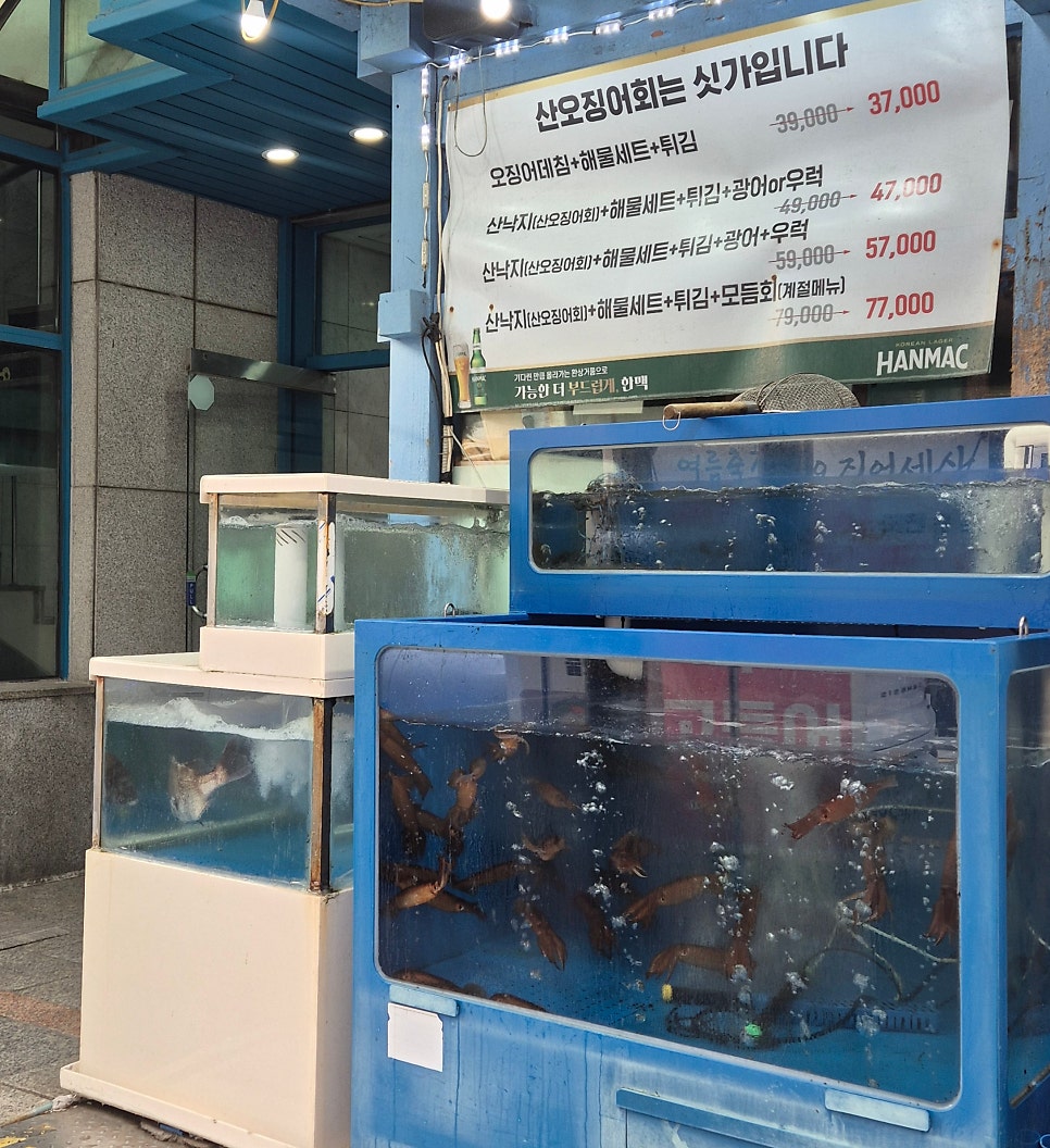 오징어세상 삼성점 사진 4