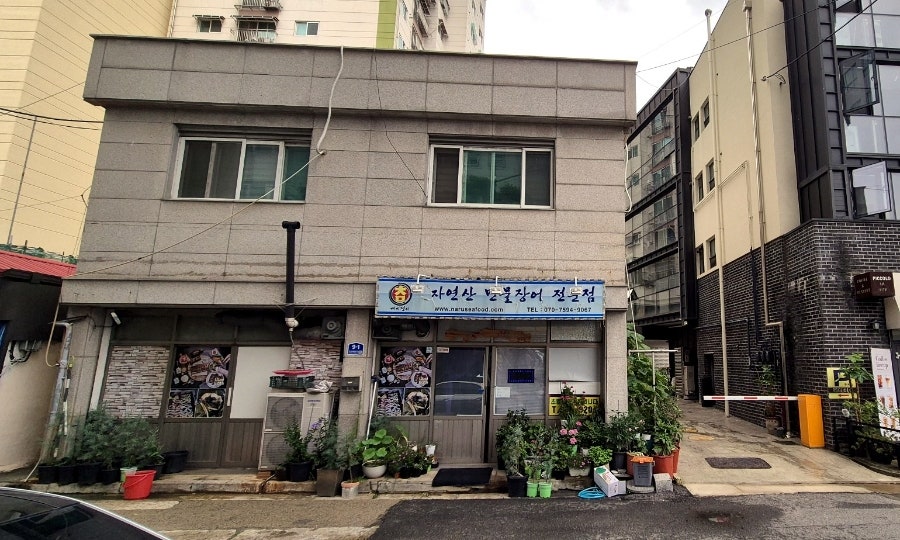 배미쟁이 사진 3