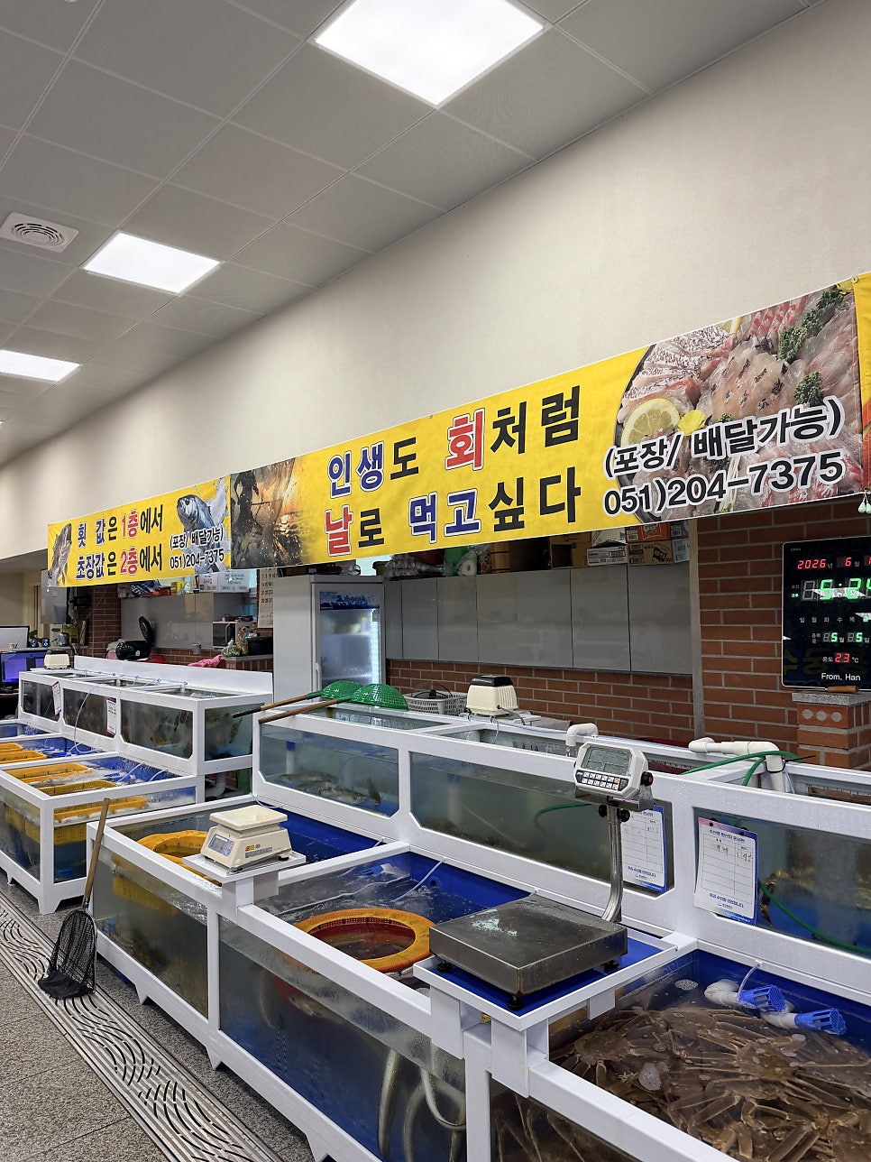 신전항수산 사진 6
