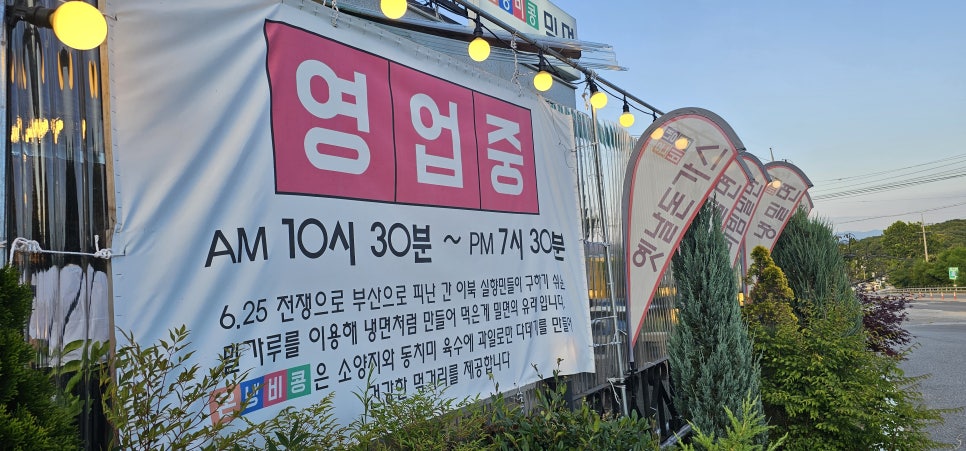 온냉비콩 사진 2