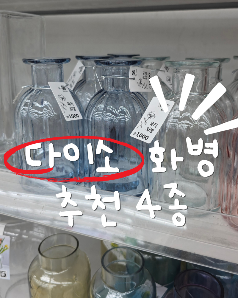 다이소 신상 화병 추천 ! 1,000원부터 가능한 감성 홈스타일링