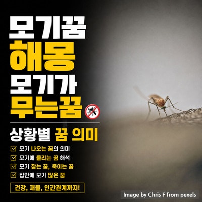 모기꿈 해몽, 모기가 무는꿈 상황별 꿈 의미