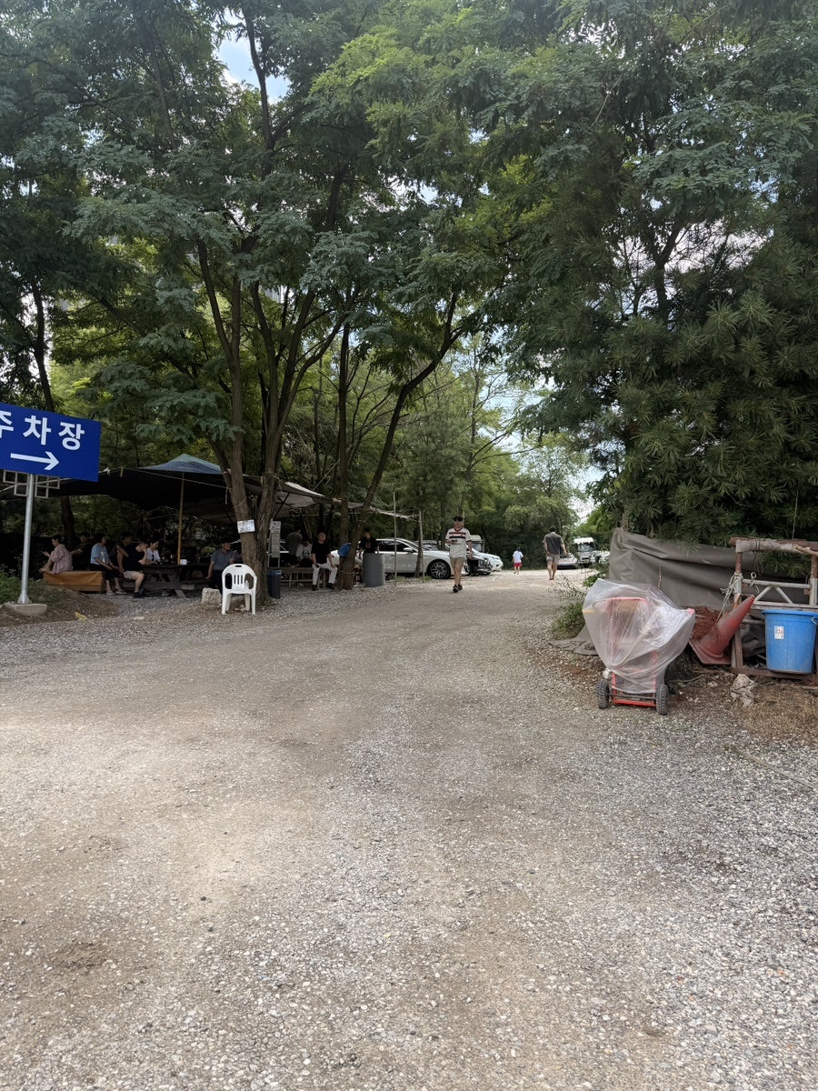 콩게미 사진 2