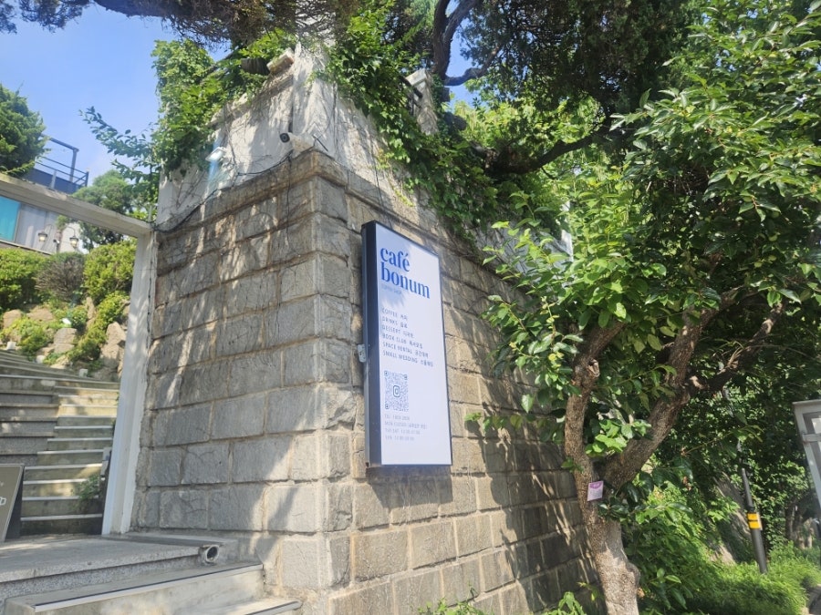 보눔 사진 4