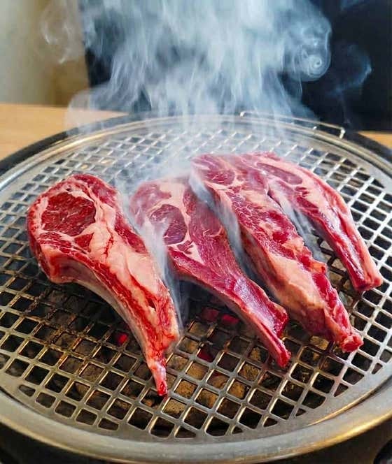 비위치 사진 3